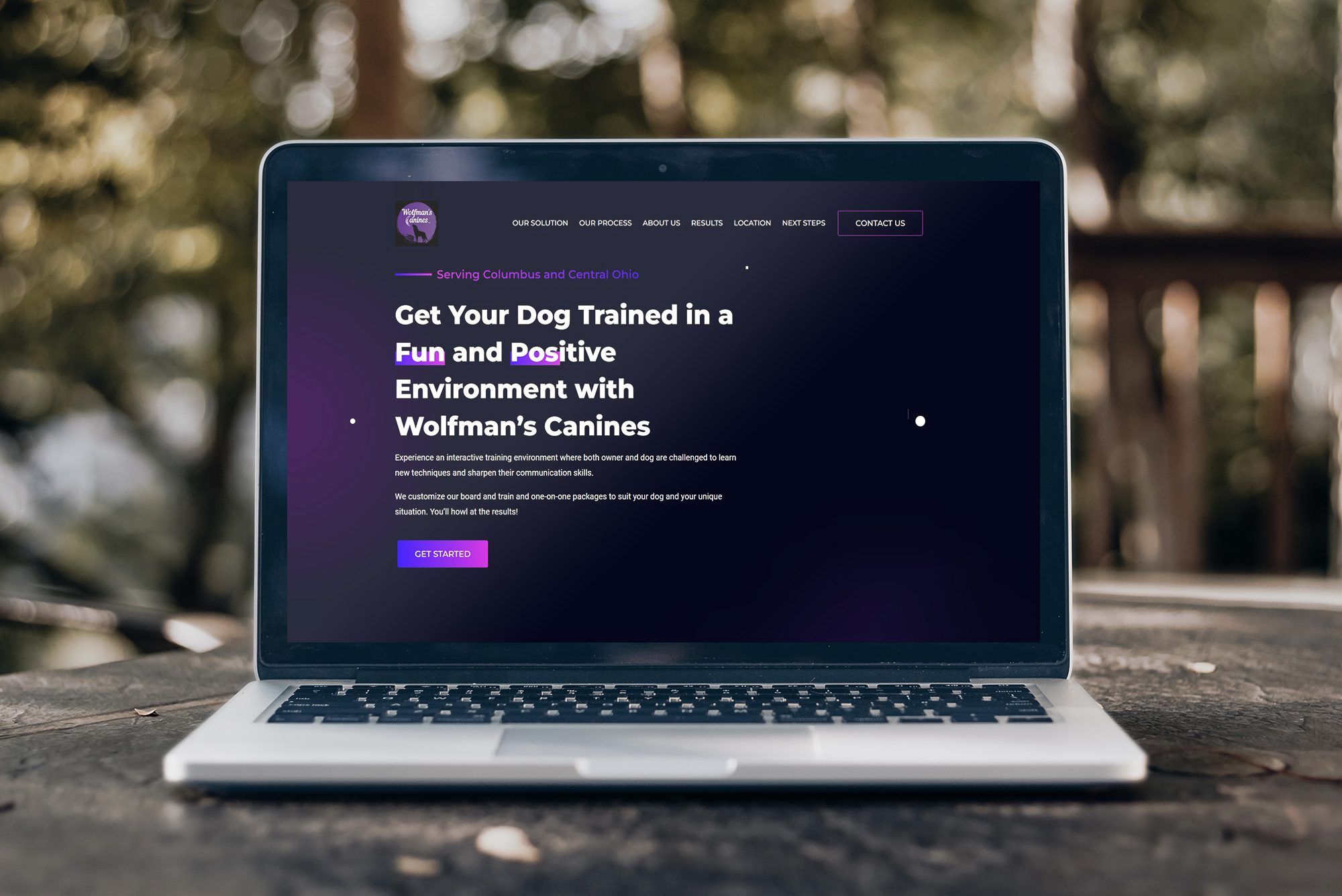 Dog Training Boarding Web Design